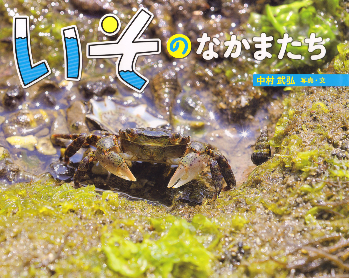 メイン画像