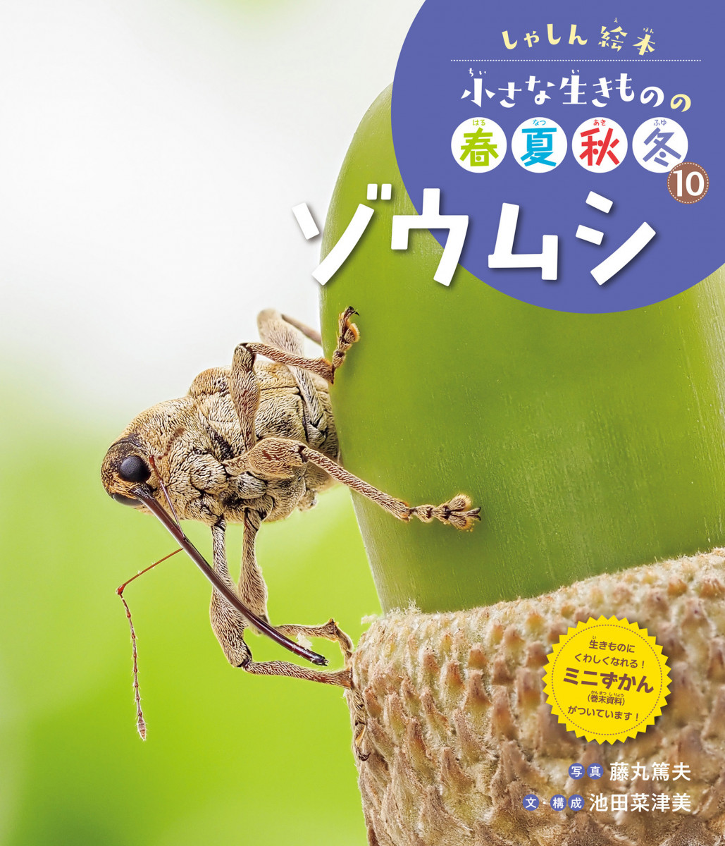 メイン画像