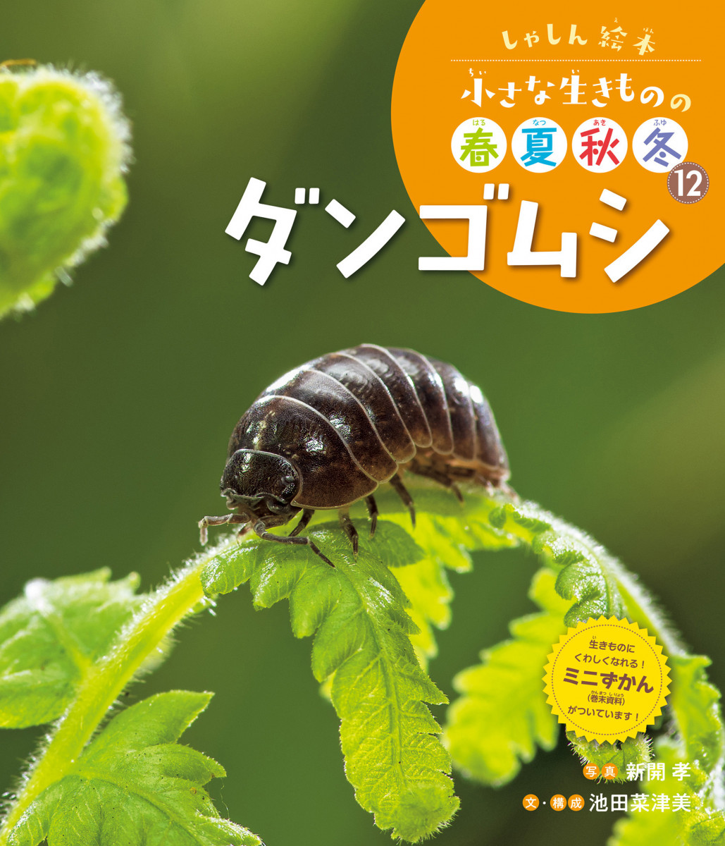 メイン画像