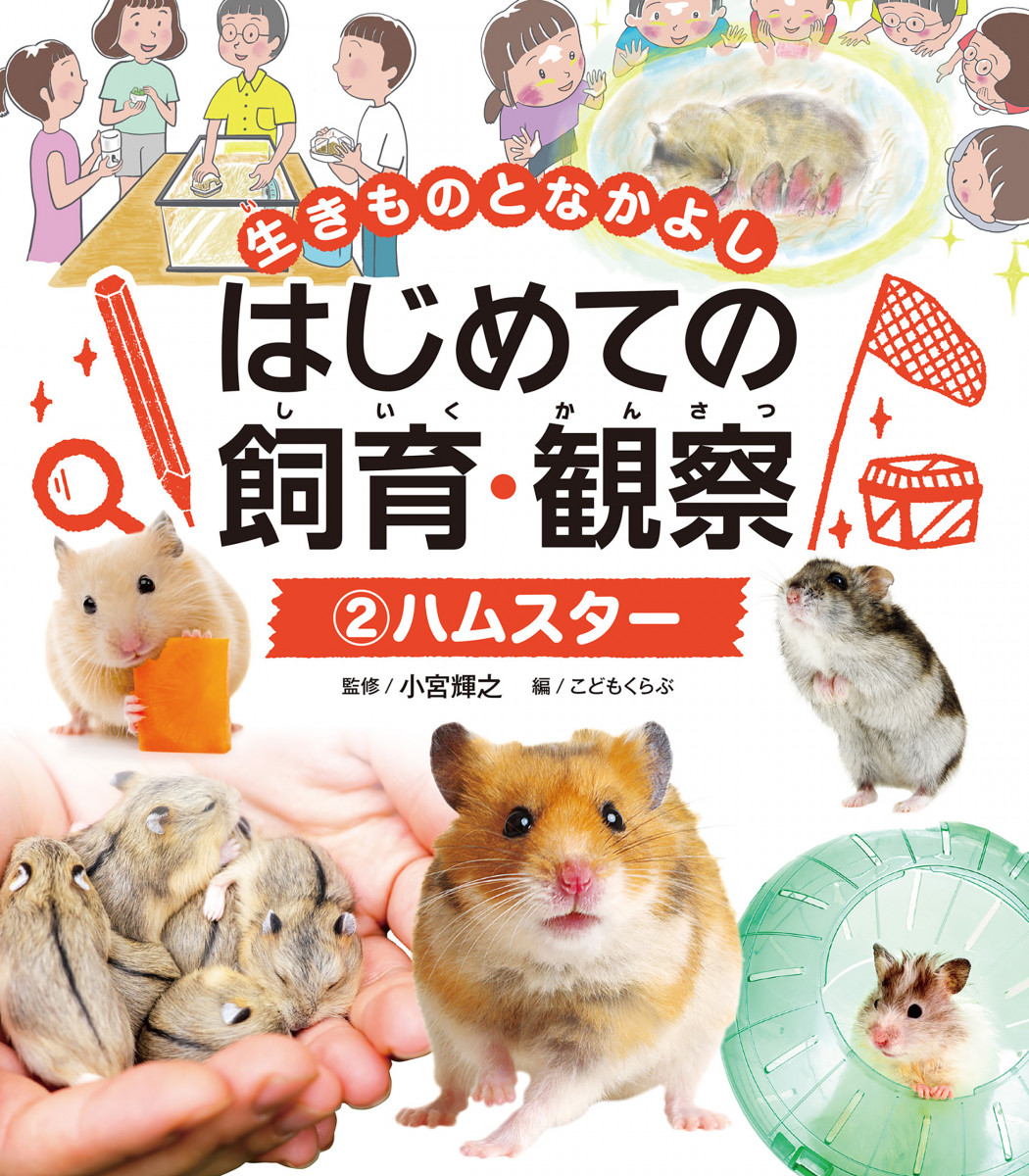 メイン画像