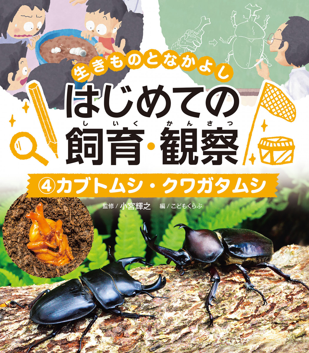 メイン画像