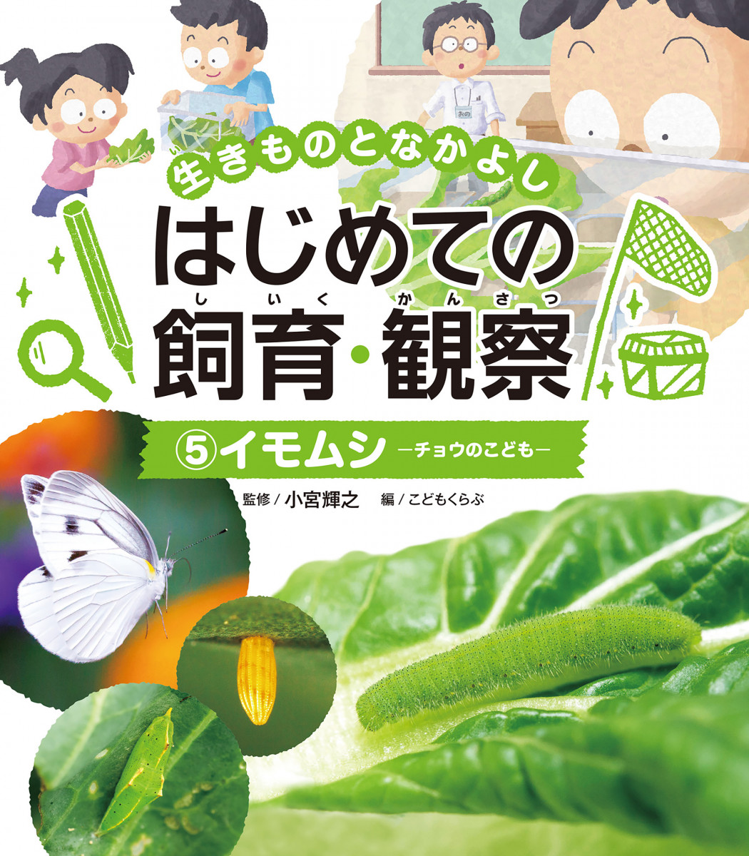 メイン画像