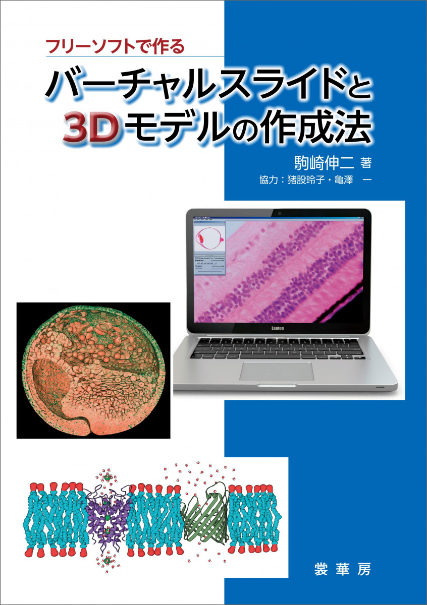 メイン画像