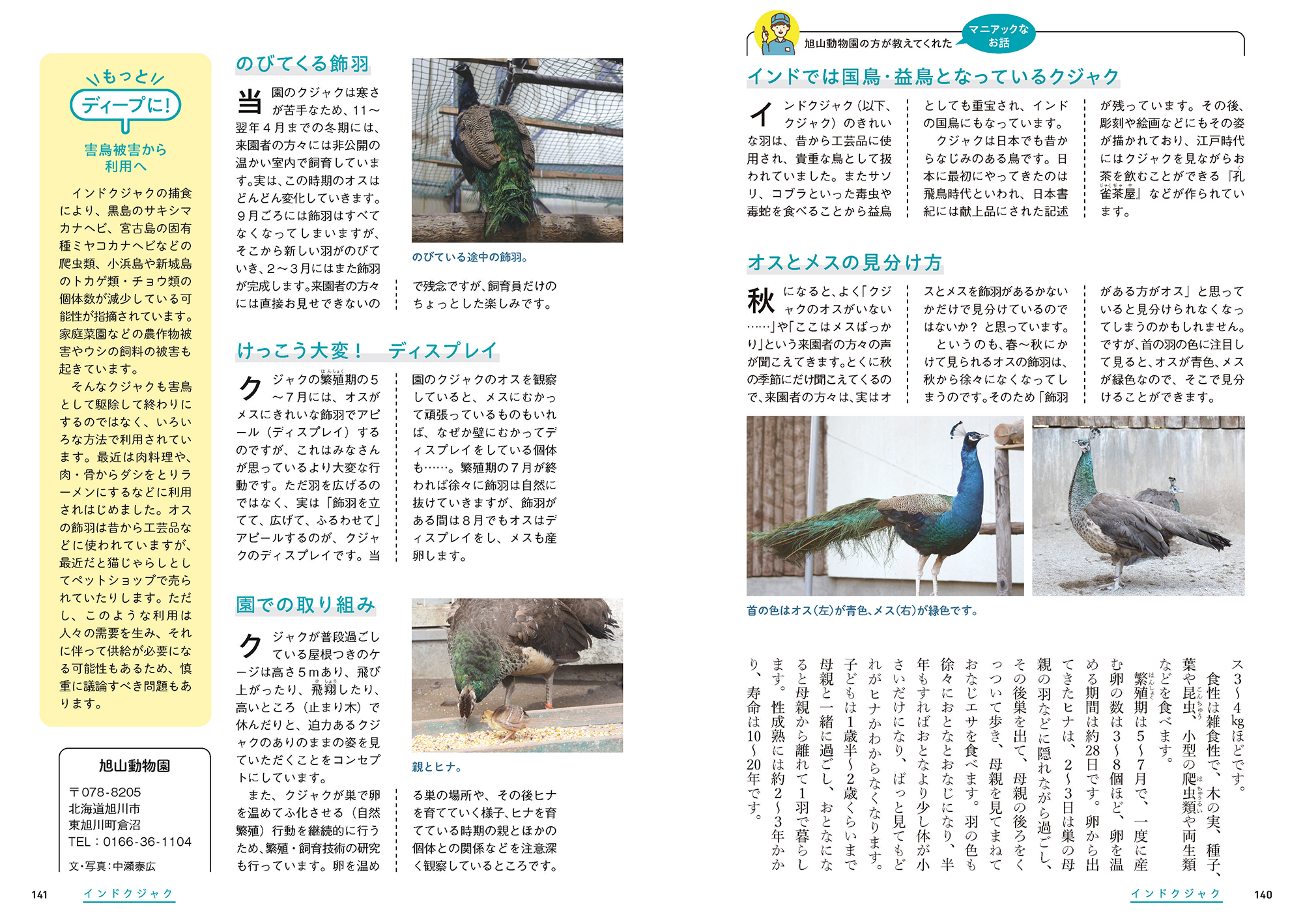 サムネイル画像3