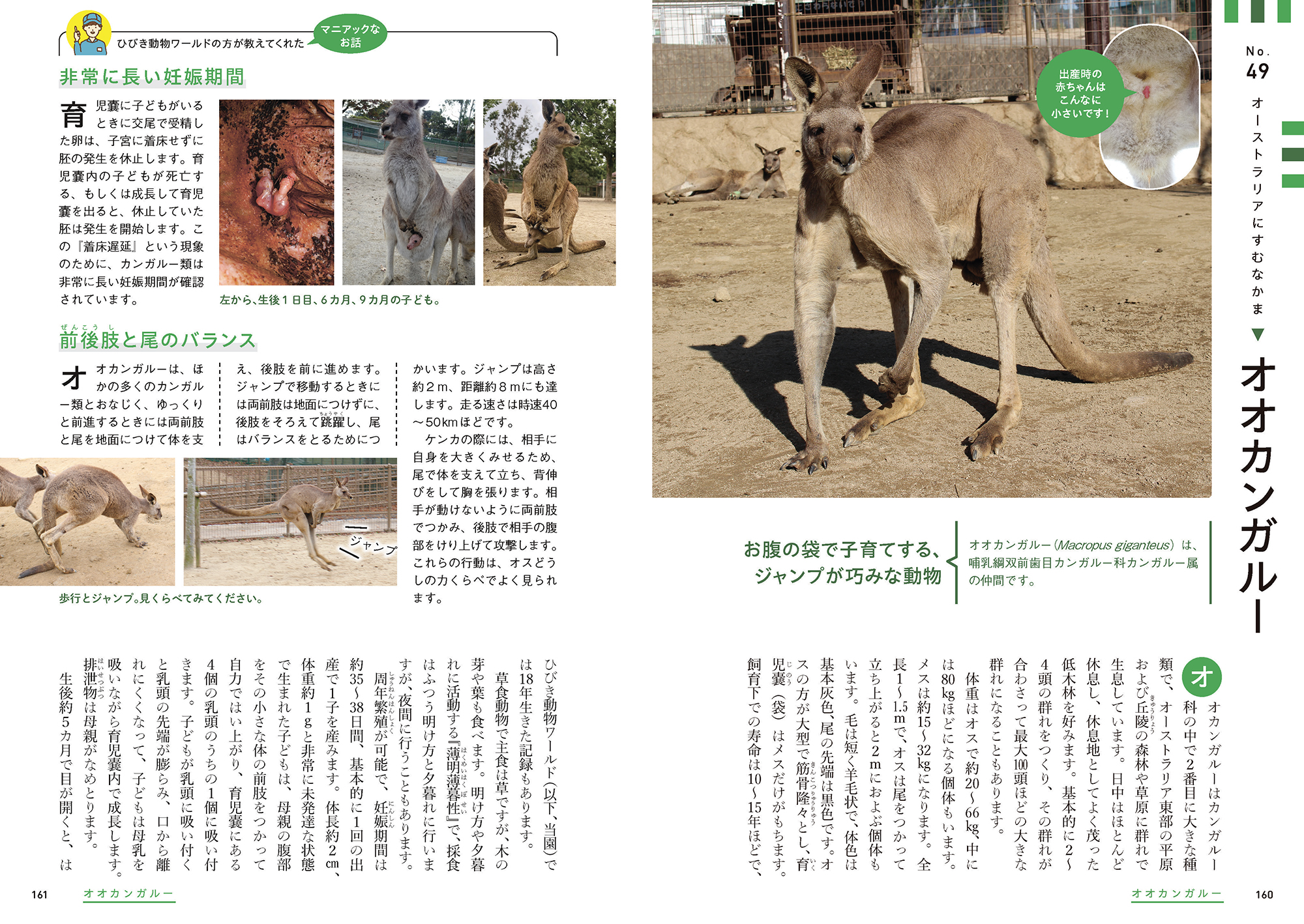 サムネイル画像4