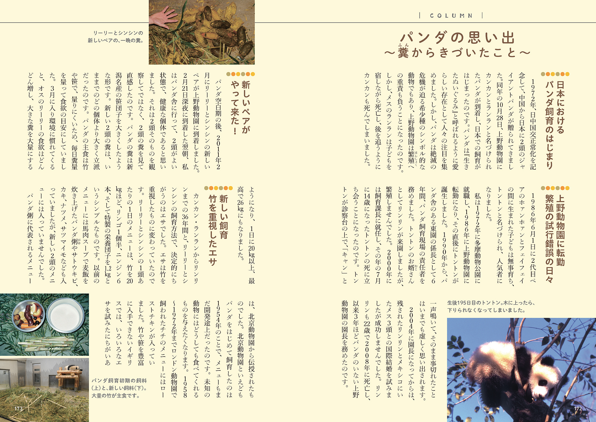 サムネイル画像5