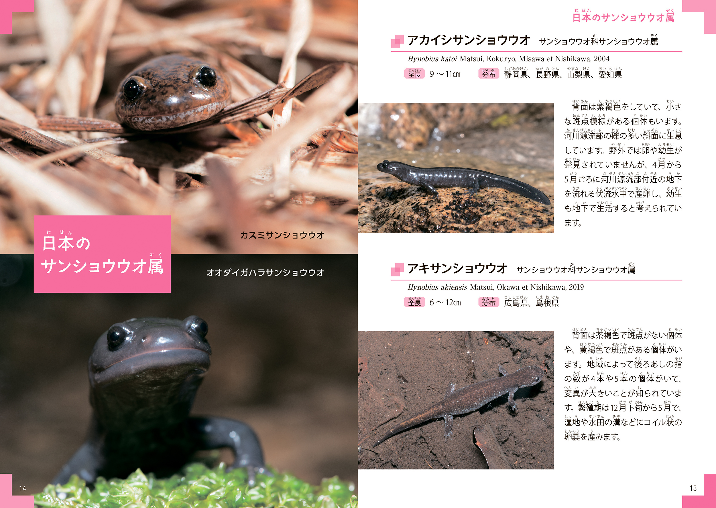 サムネイル画像1
