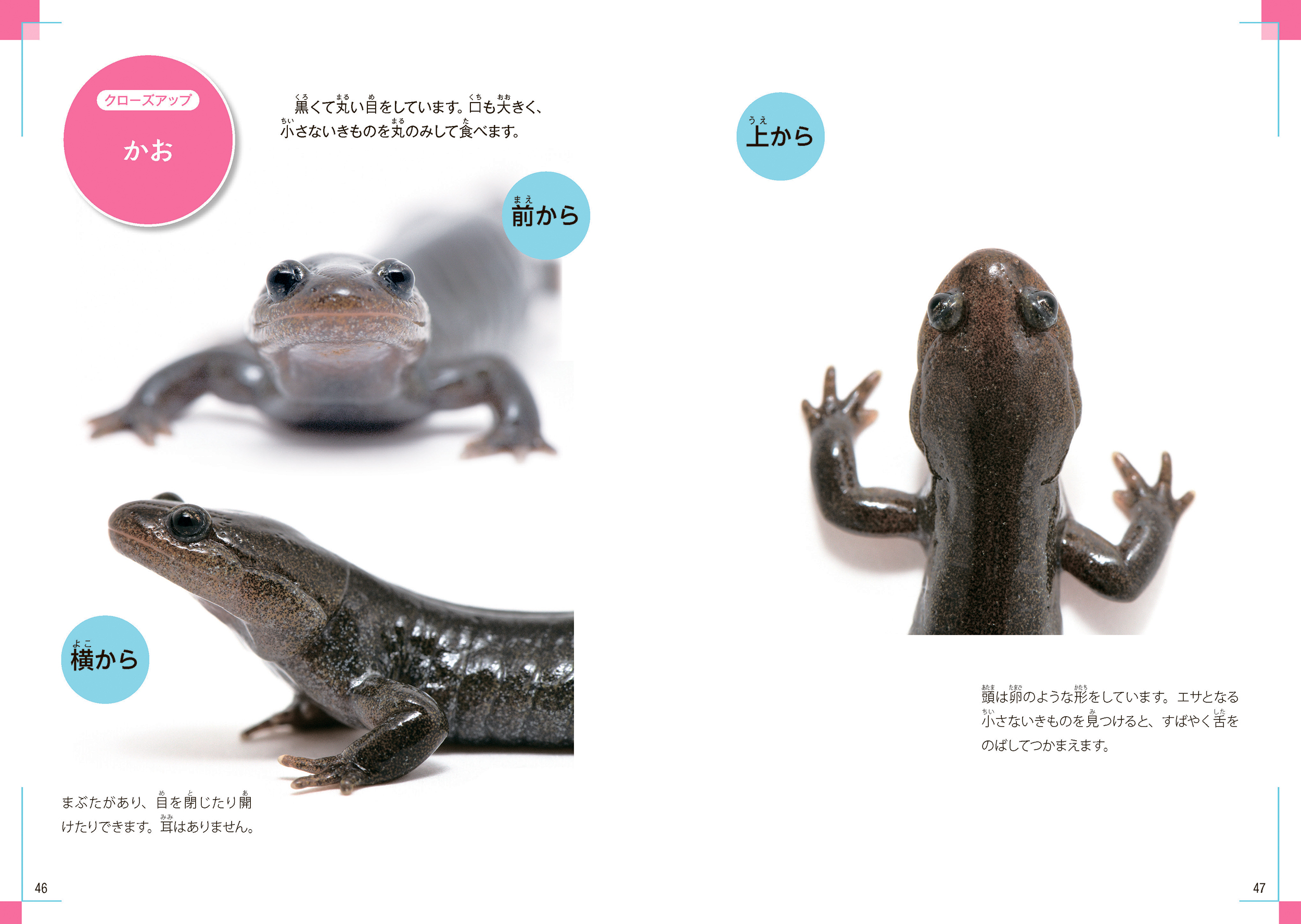 サムネイル画像2