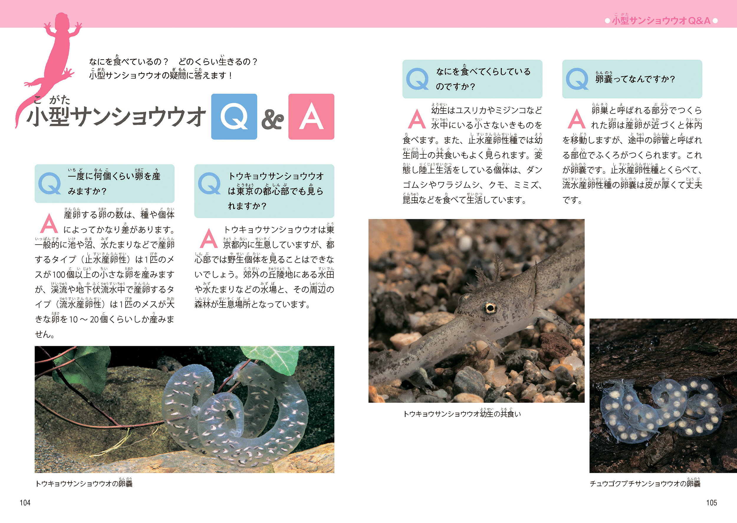 サムネイル画像4