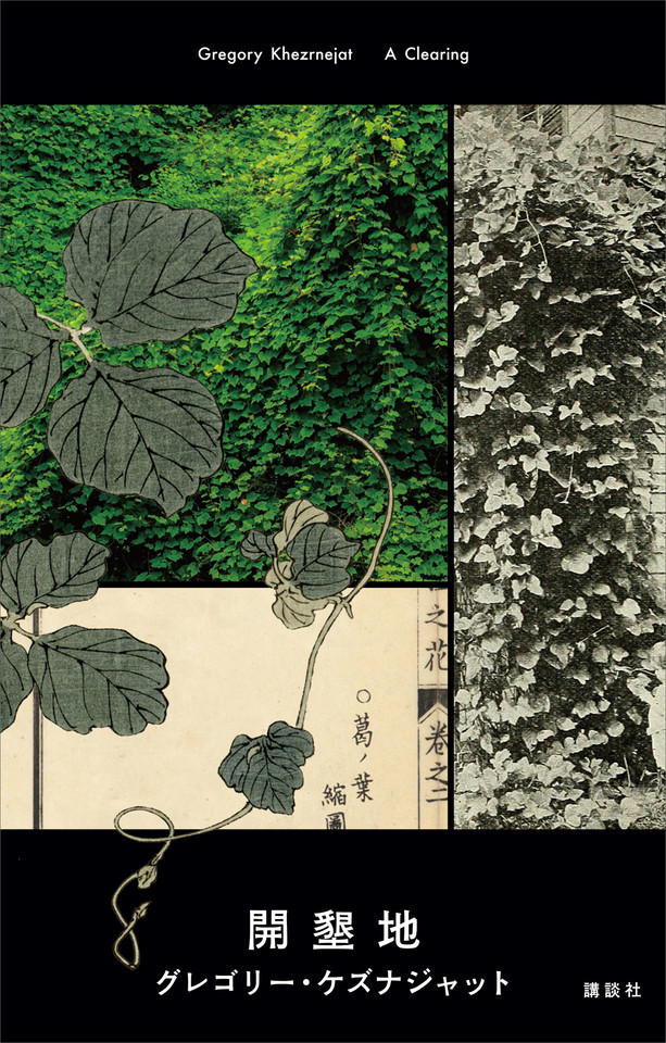 メイン画像