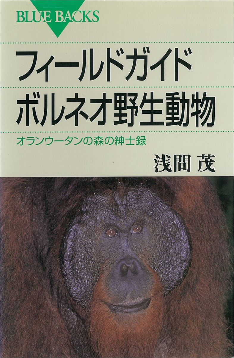 フィールドガイド　ボルネオ野生動物　オランウータンの森の紳士録の商品画像