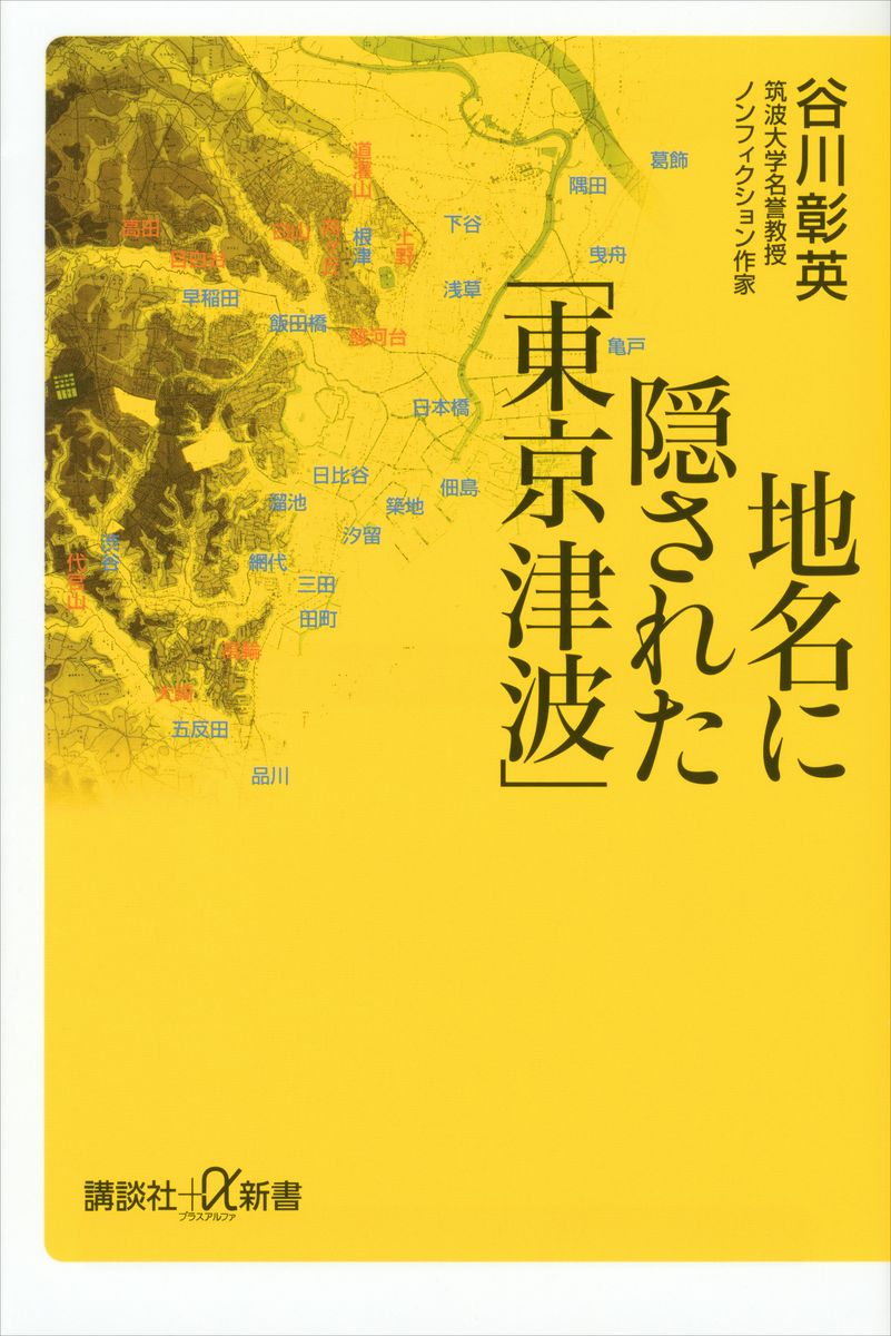 地名に隠された「東京津波」の商品画像