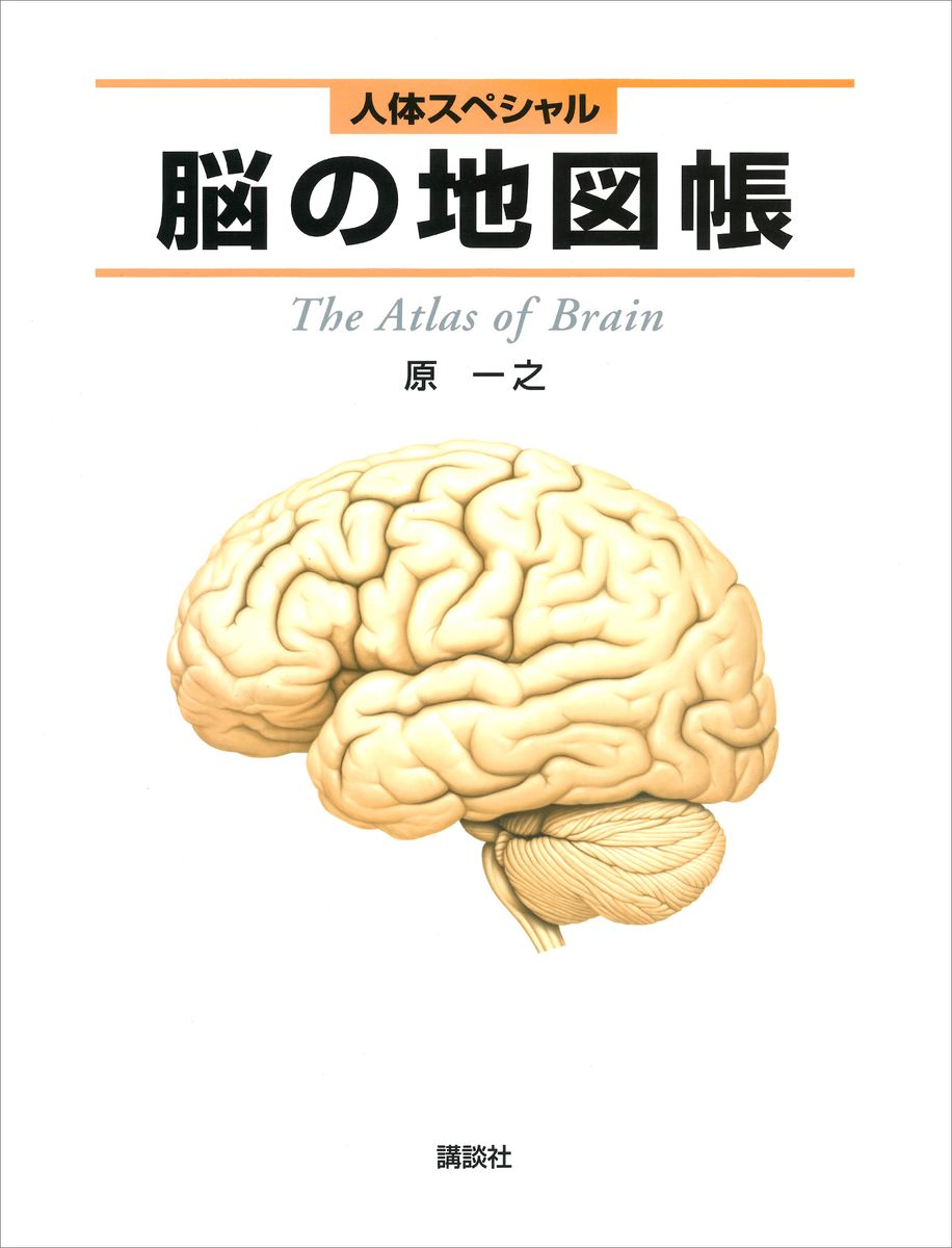 人体スペシャル　脳の地図帳の商品画像