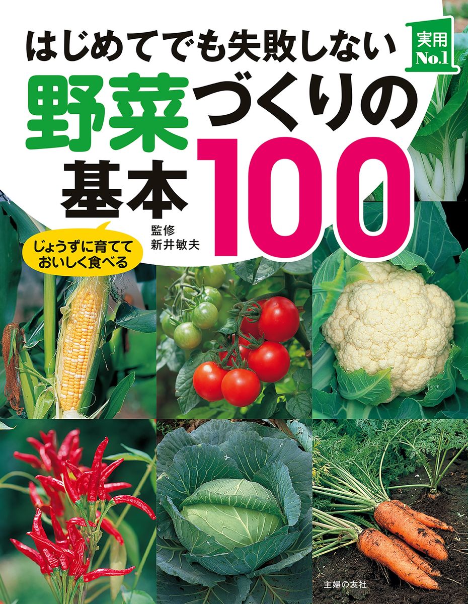 はじめてでも失敗しない野菜づくりの基本１００の商品画像