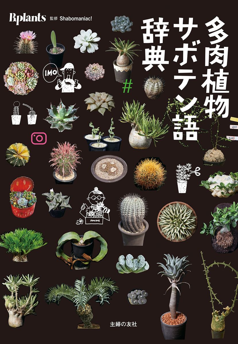 多肉植物サボテン語辞典の商品画像