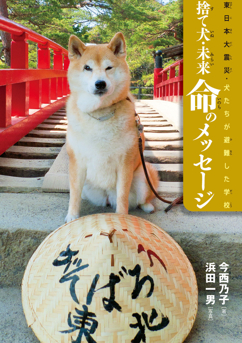 東日本大震災・犬たちが避難した学校 捨て犬・未来 命のメッセージの商品画像