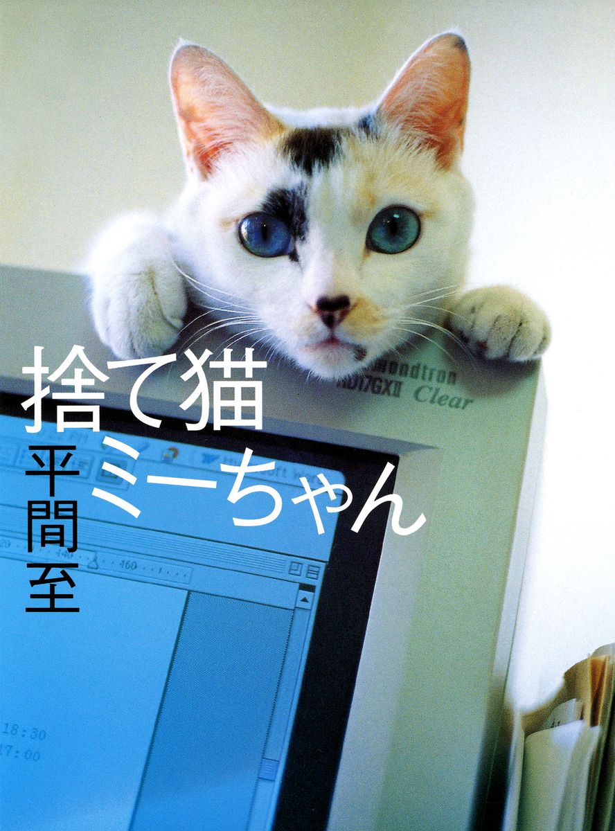 捨て猫ミーちゃんの商品画像