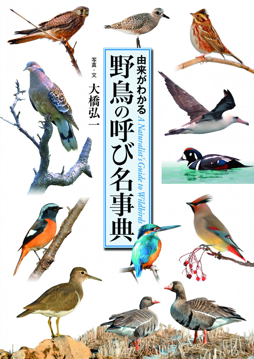 野鳥の呼び名事典の商品画像