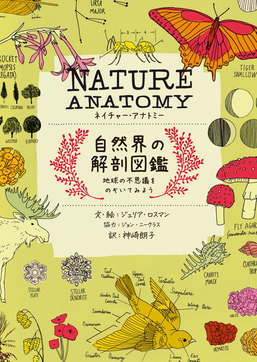 NATURE ANATOMY (ネイチャー・アナトミー)自然界の解剖図鑑～地球の不思議をのぞいてみようの商品画像
