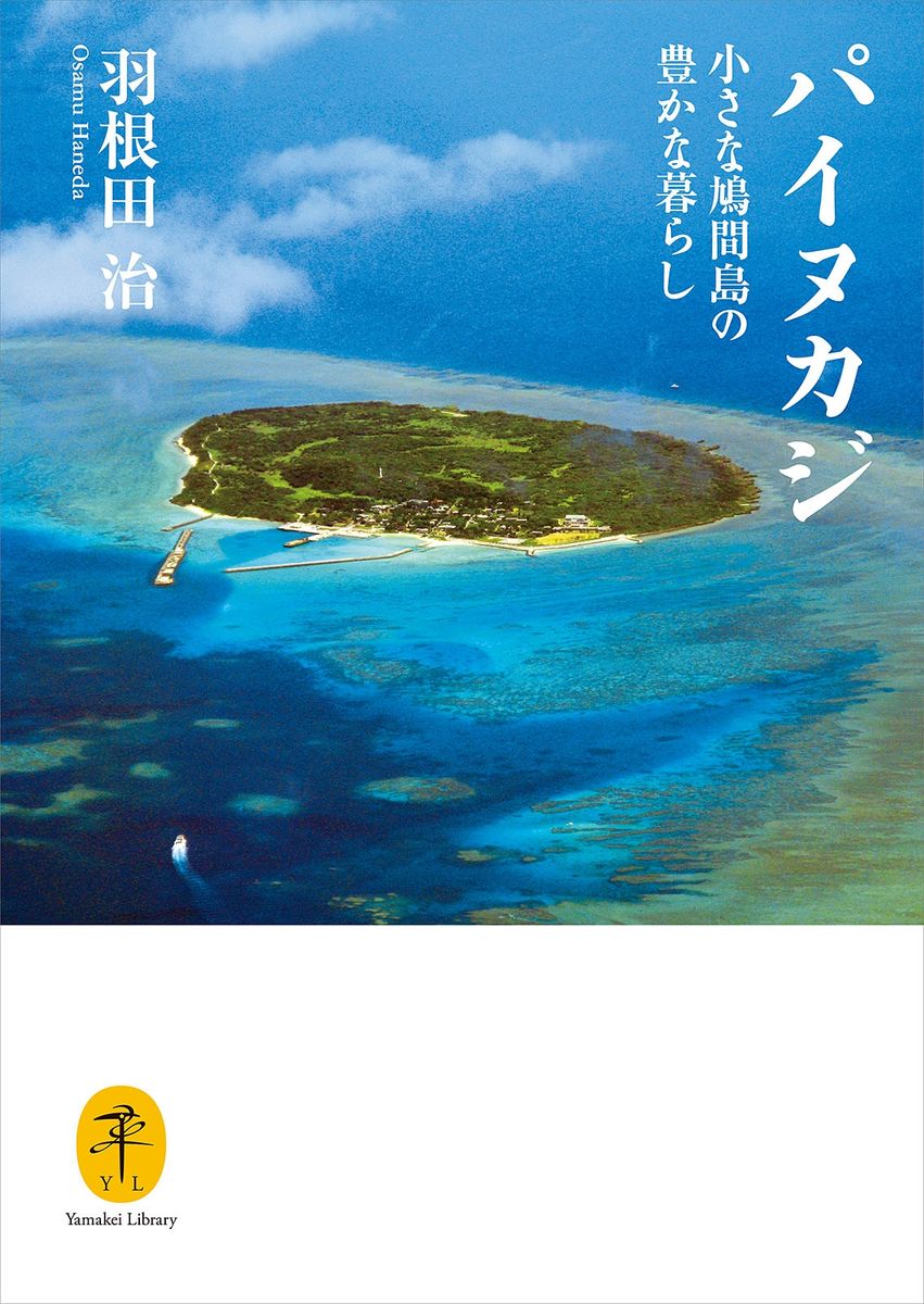 ヤマケイ文庫 パイヌカジ 小さな鳩間島の豊かな暮らしの商品画像