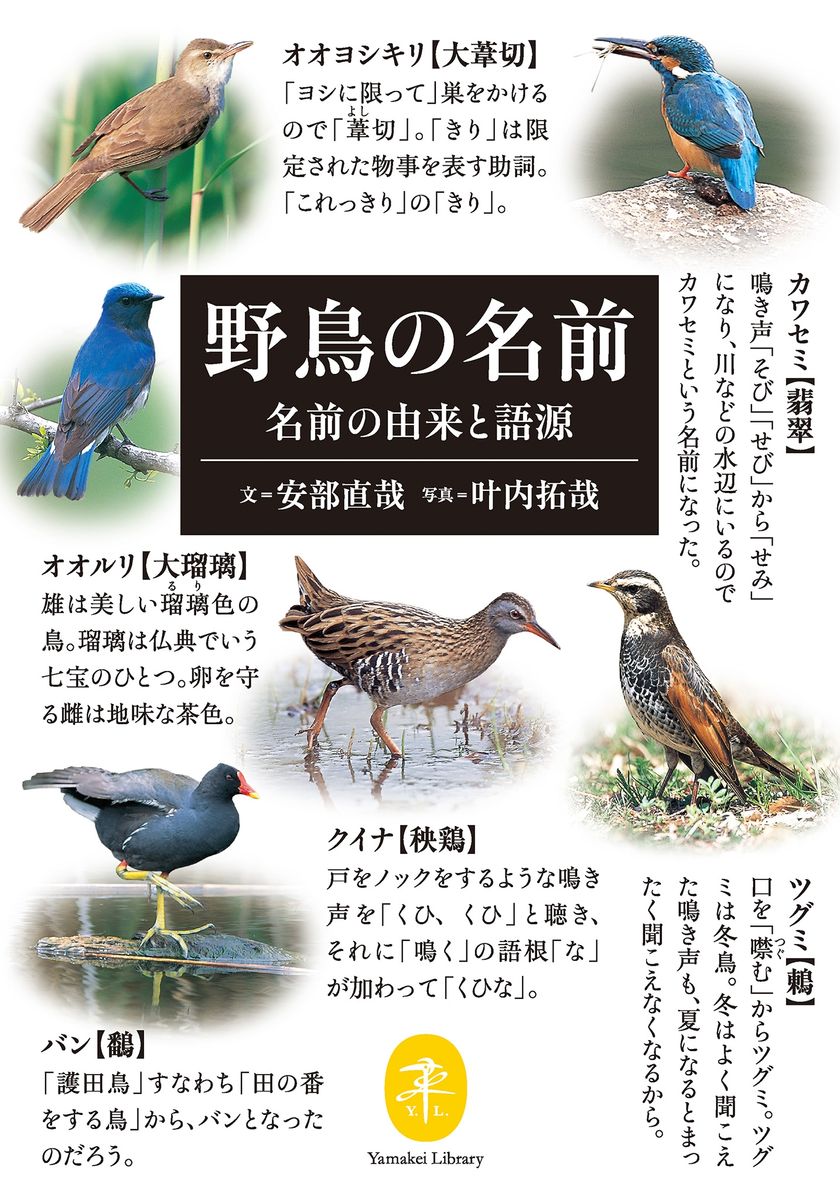 ヤマケイ文庫　野鳥の名前 名前の由来と語源の商品画像