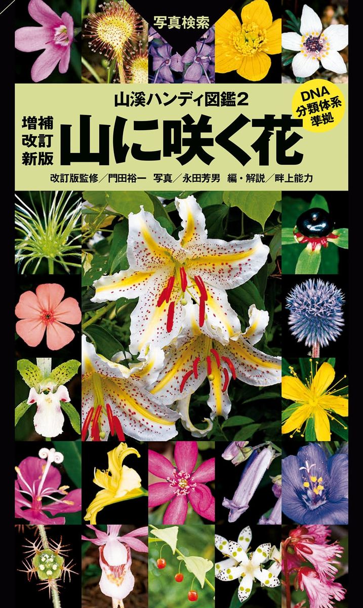 ヤマケイハンディ図鑑2 山に咲く花 増補改訂新版の商品画像