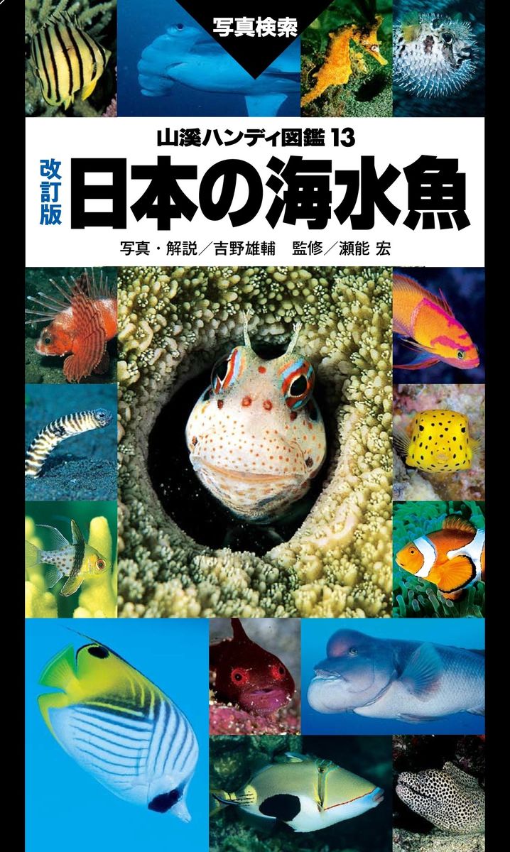 山溪ハンディ図鑑　改訂版　日本の海水魚の商品画像