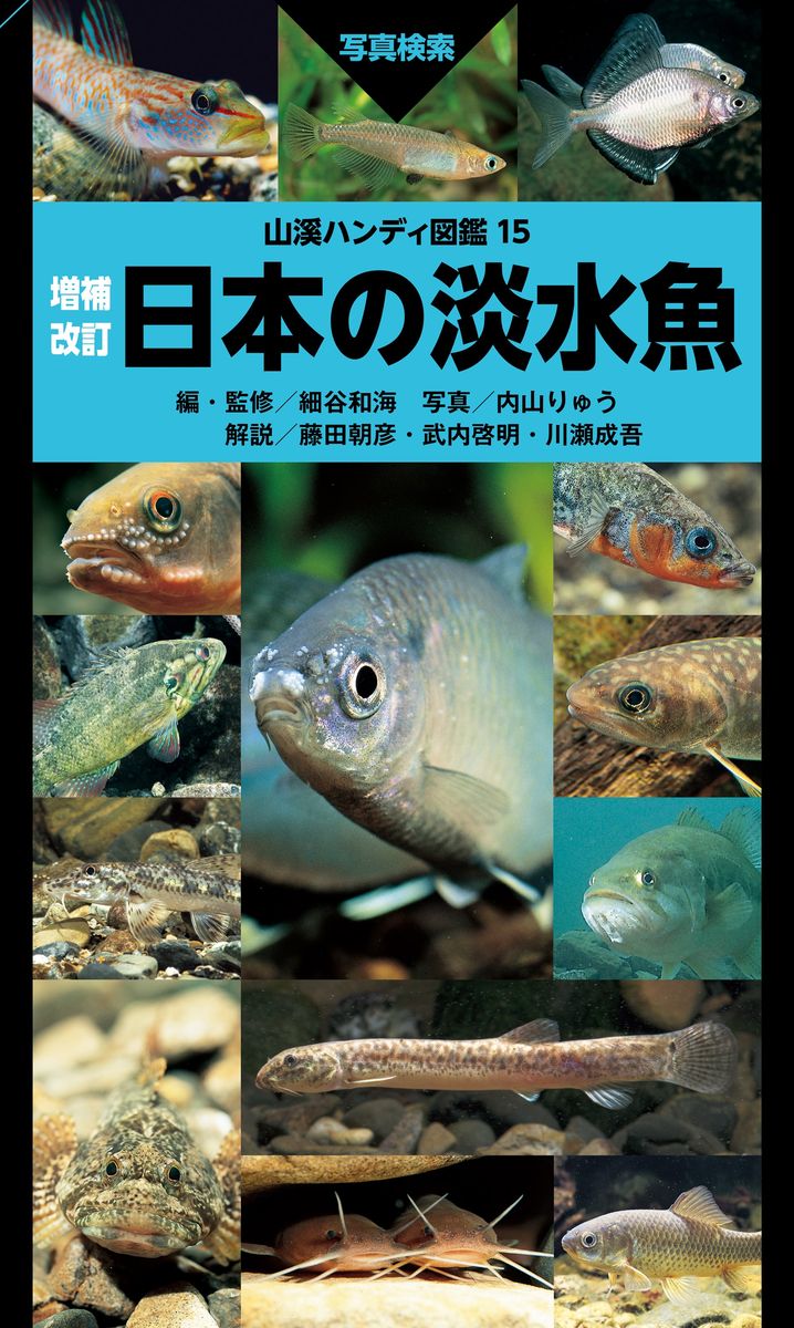 山溪ハンディ図鑑 増補改訂 日本の淡水魚の商品画像