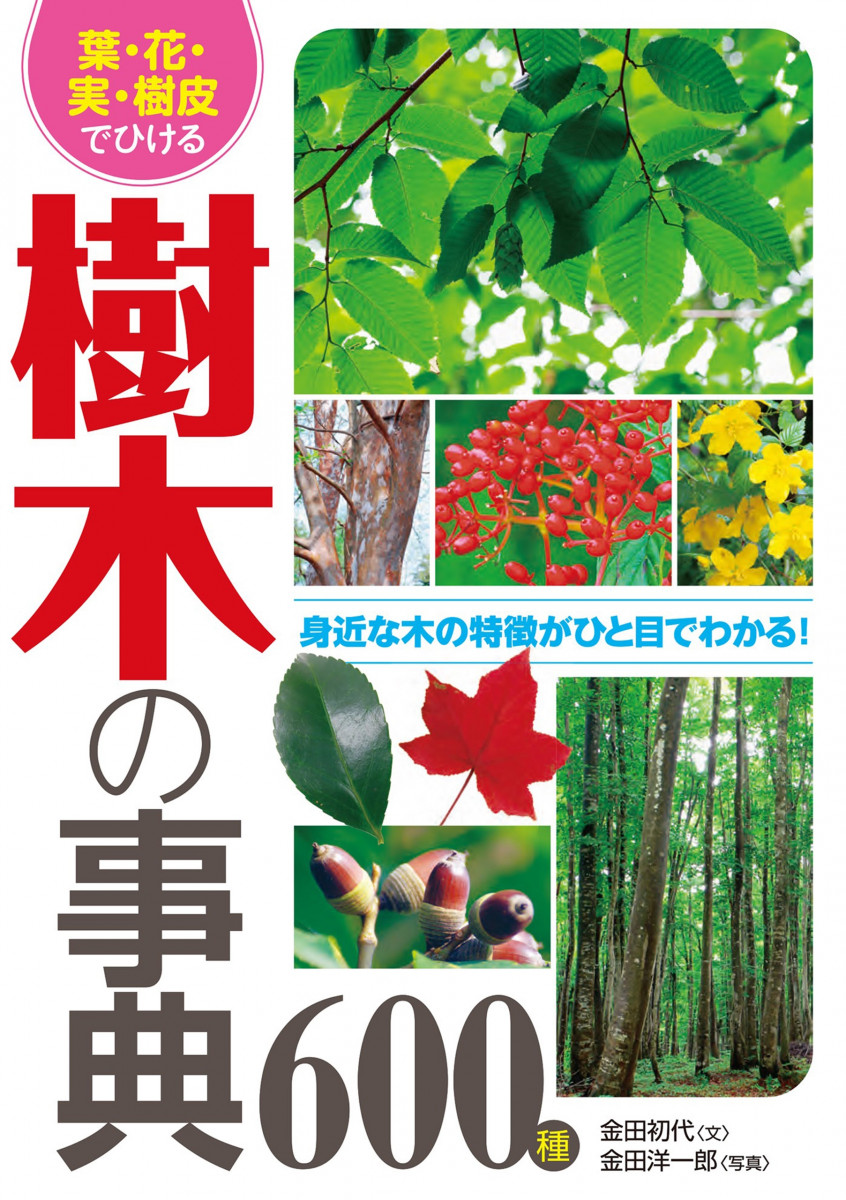 葉・花・実・樹皮でひける 樹木の事典600種の商品画像
