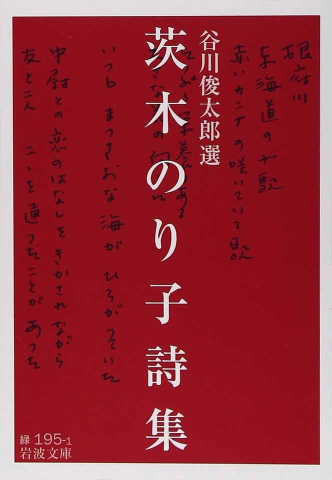茨木のり子詩集 (岩波文庫)の商品画像