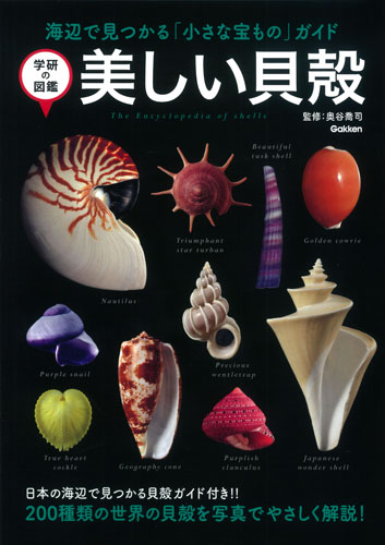 学研の図鑑　美しい貝殻の商品画像