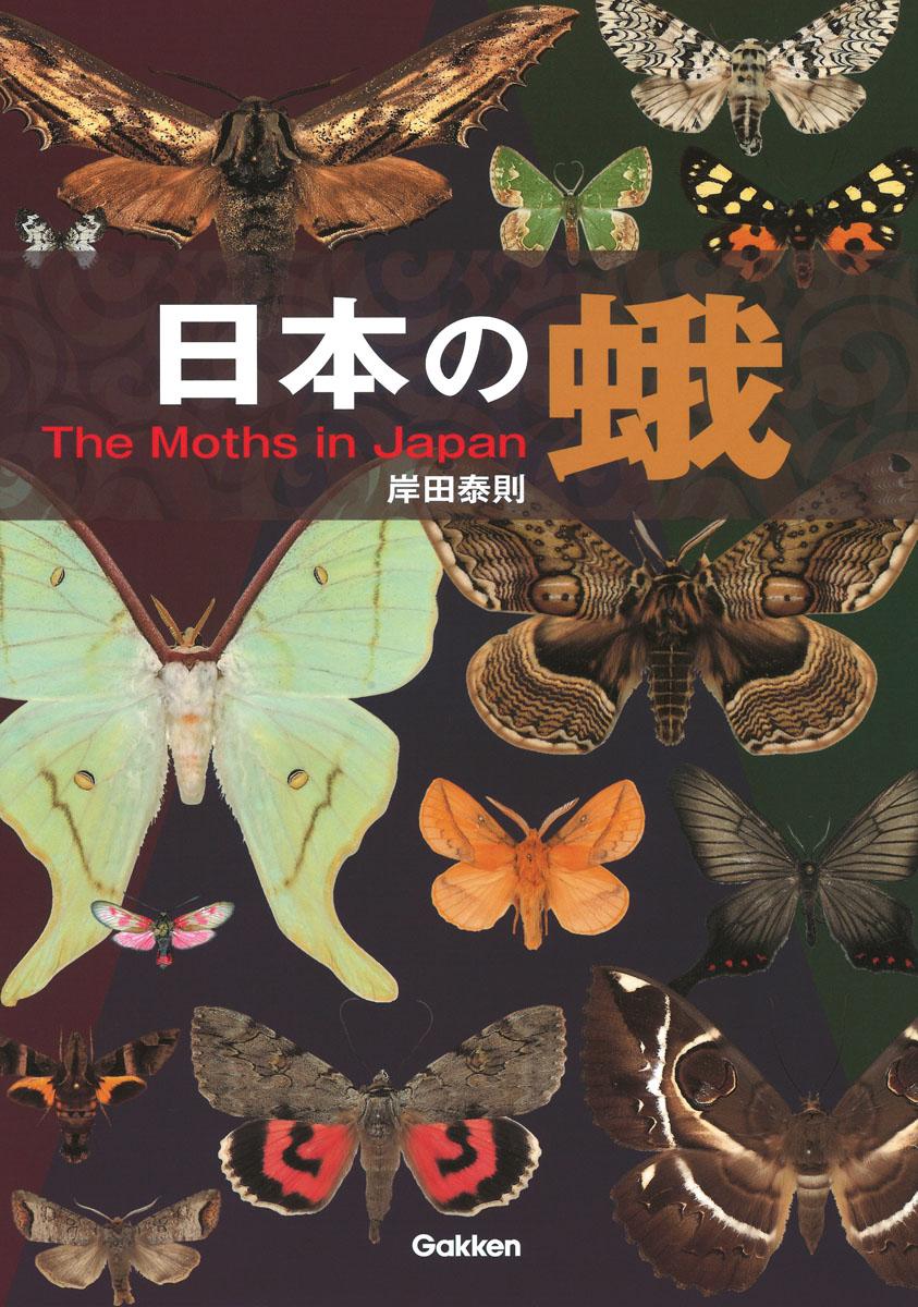 日本の蛾の商品画像