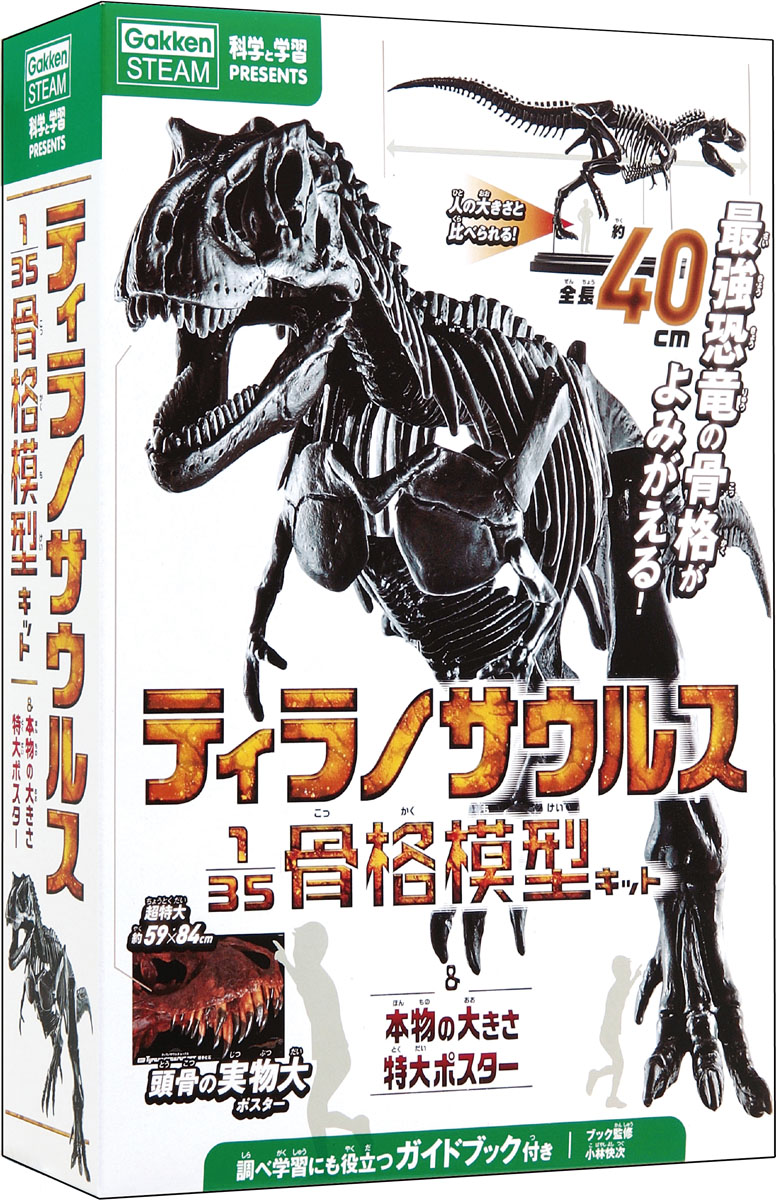 ティラノサウルス1／35骨格模型キット＆本物の大きさ特大ポスターの商品画像