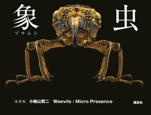 象虫　Weevils:Micro Presence　復刻版の商品画像