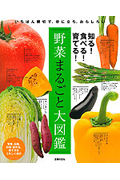野菜まるごと大図鑑の商品画像