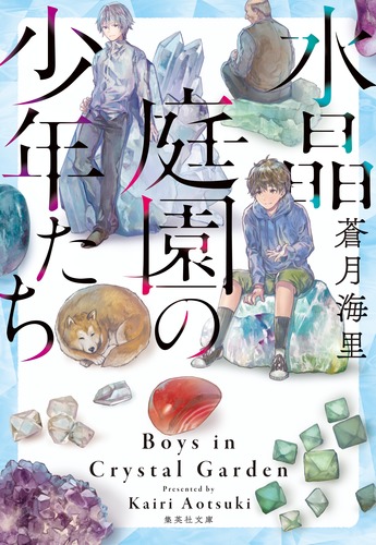 水晶庭園の少年たちの商品画像