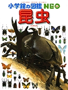 昆虫の商品画像