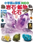 岩石・鉱物・化石の商品画像