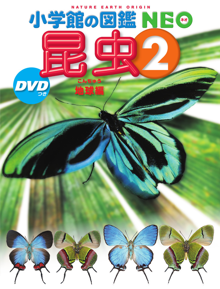 昆虫2 DVDつきの商品画像