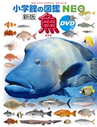 魚の商品画像