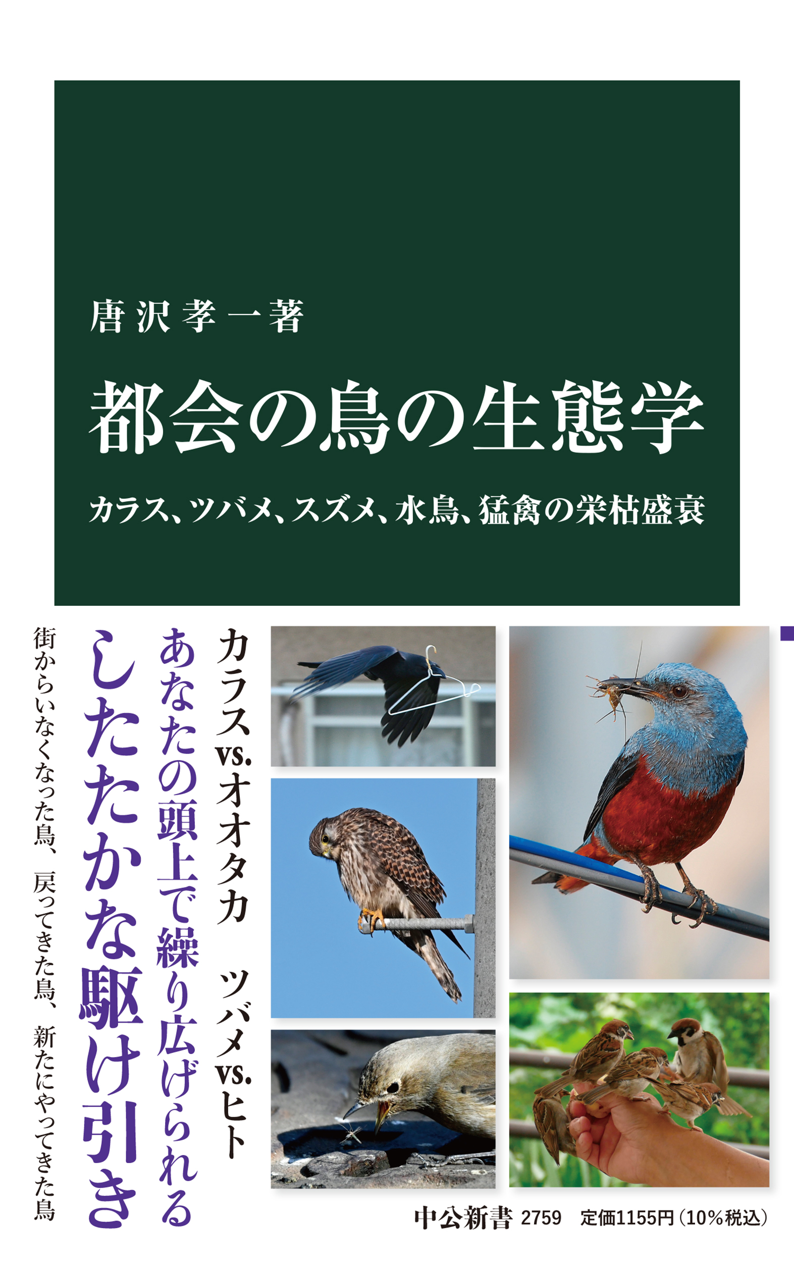 都会の鳥の生態学の商品画像