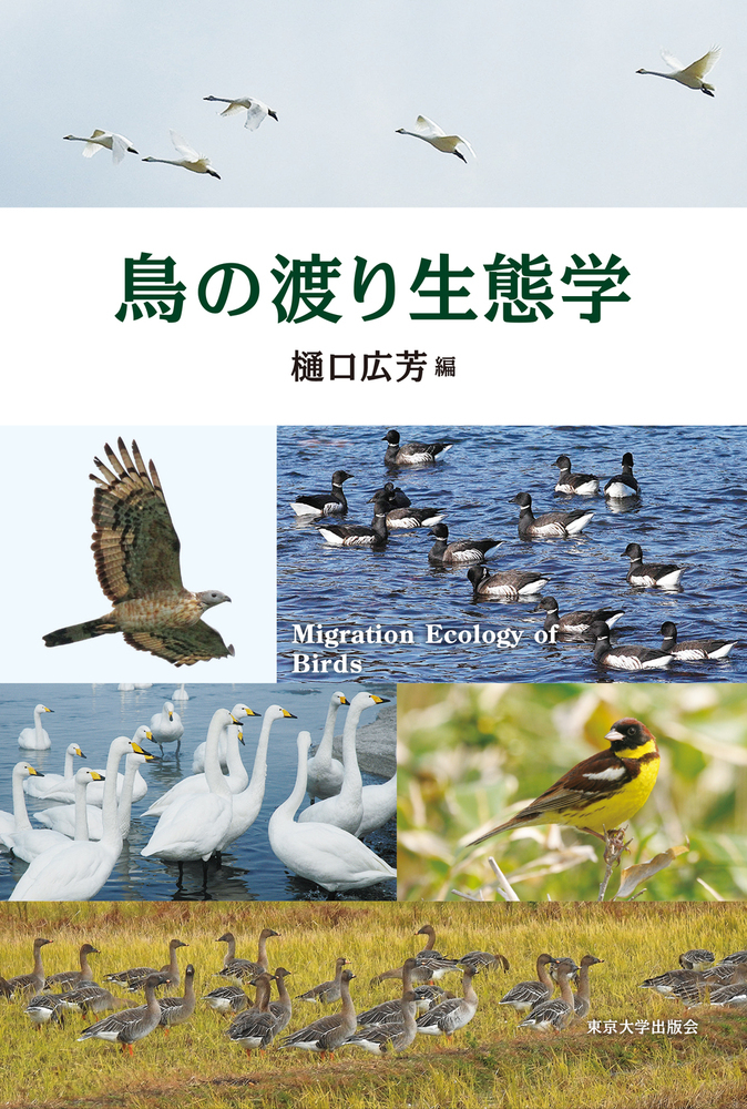 鳥の渡り生態学の商品画像