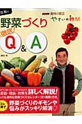 NHK趣味の園芸　やさいの時間　藤田智の野菜づくり徹底Q＆Aの商品画像