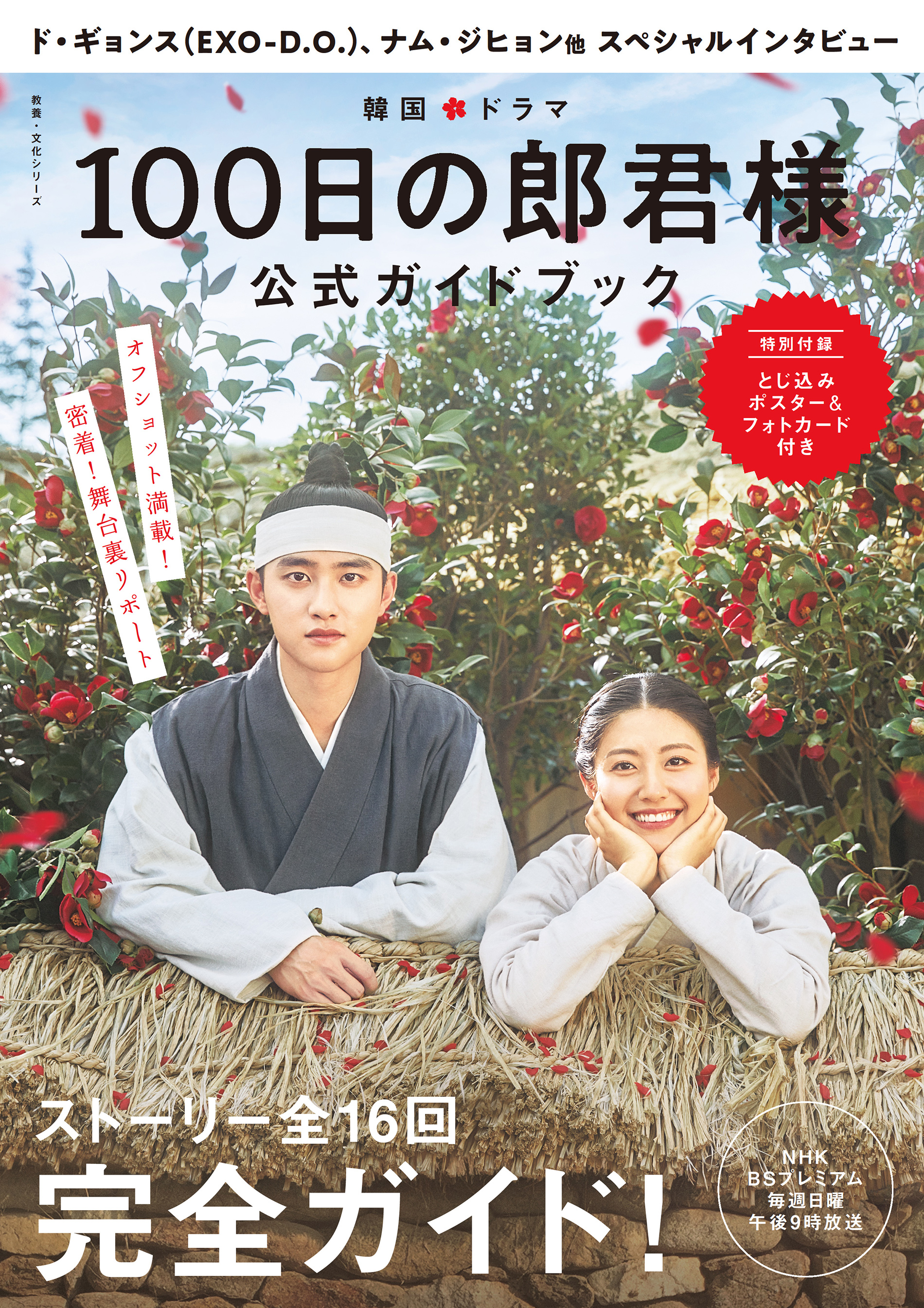 韓国ドラマ「100日の郎君様（ヒメギミサマ）」公式ガイドブックの商品画像