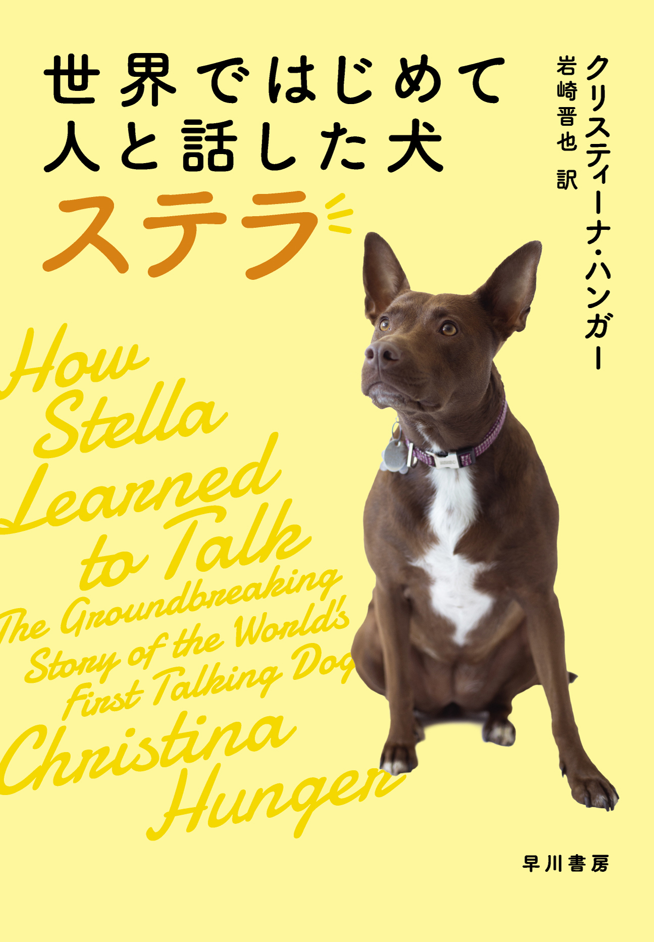 世界ではじめて人と話した犬 ステラの商品画像