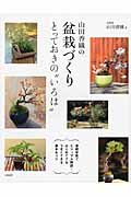 山田香織の盆栽づくり　とっておきの“いろは”の商品画像