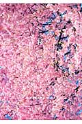 桜の商品画像