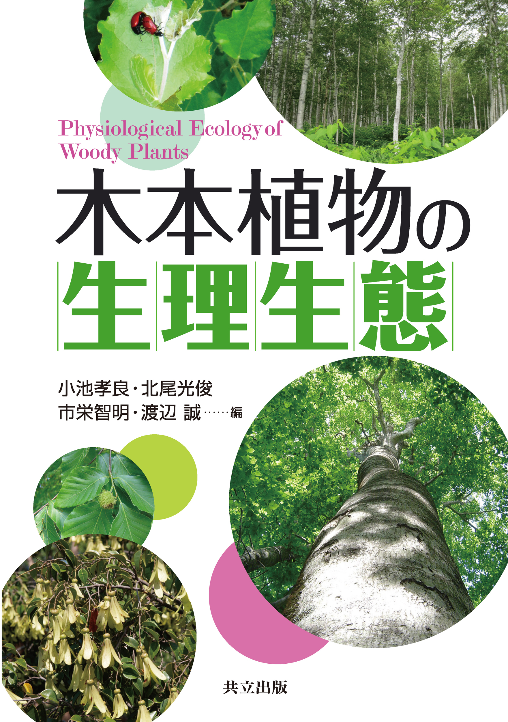 木本植物の生理生態の商品画像