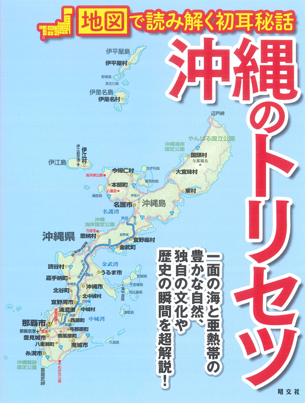 沖縄のトリセツの商品画像