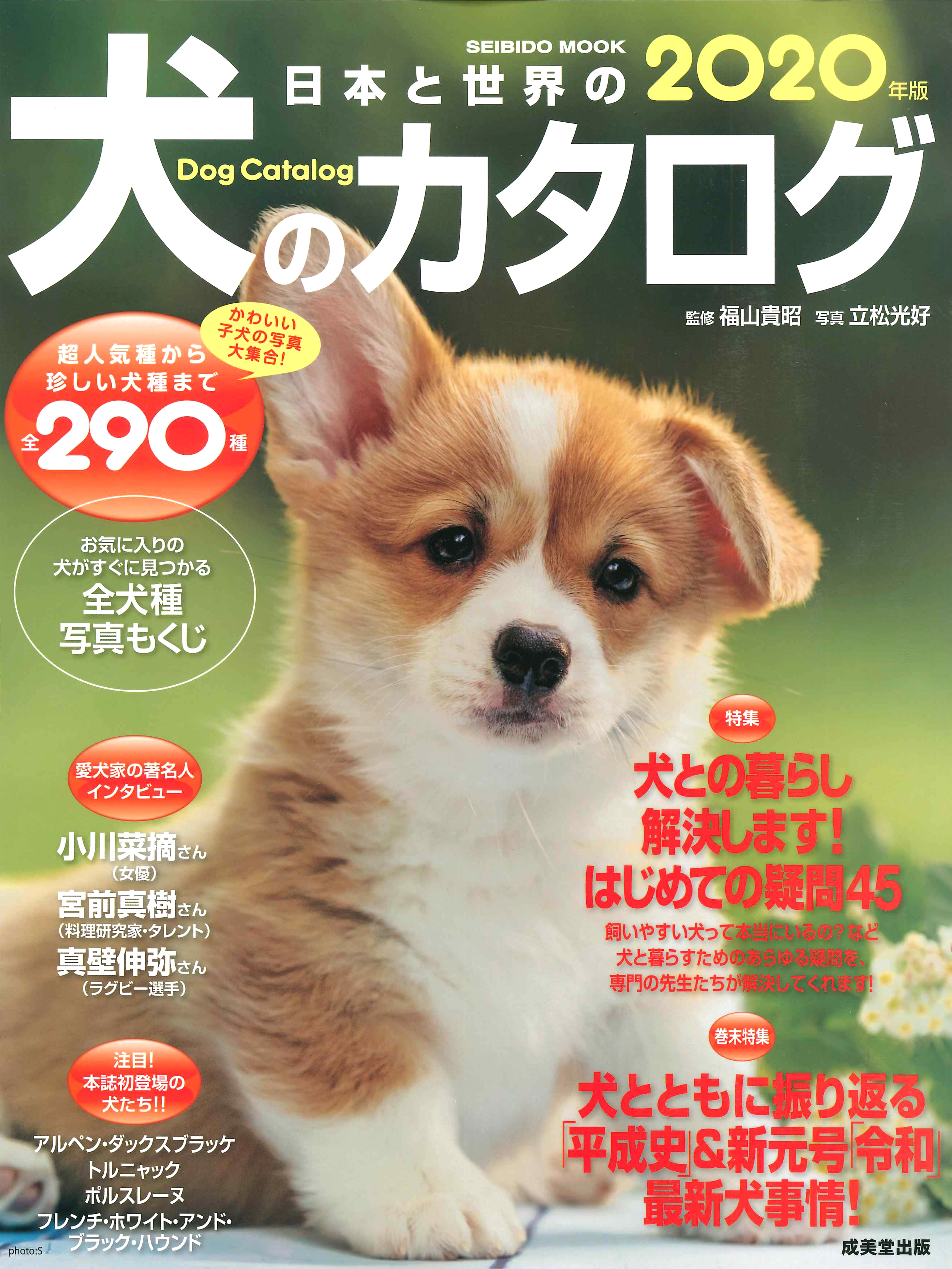 日本と世界の犬のカタログ　2020年版の商品画像